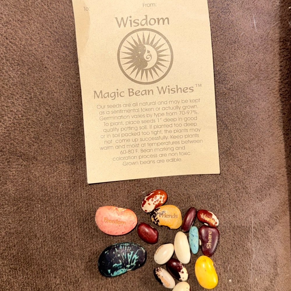 Magic Bean Wishes Set with Colorful Beans